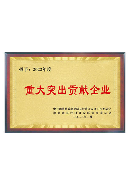 重大突出貢獻企業(yè)